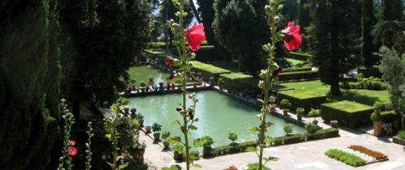 Flowers and pond