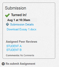 what is peer review assignment