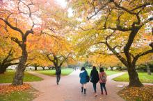 Fall at the Quad