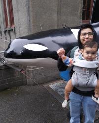 A dark haired woman with glasses wearing a baby, stands in front of a Orca statue.