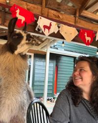 The instructor with a llama 