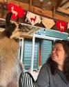 The instructor with a llama 